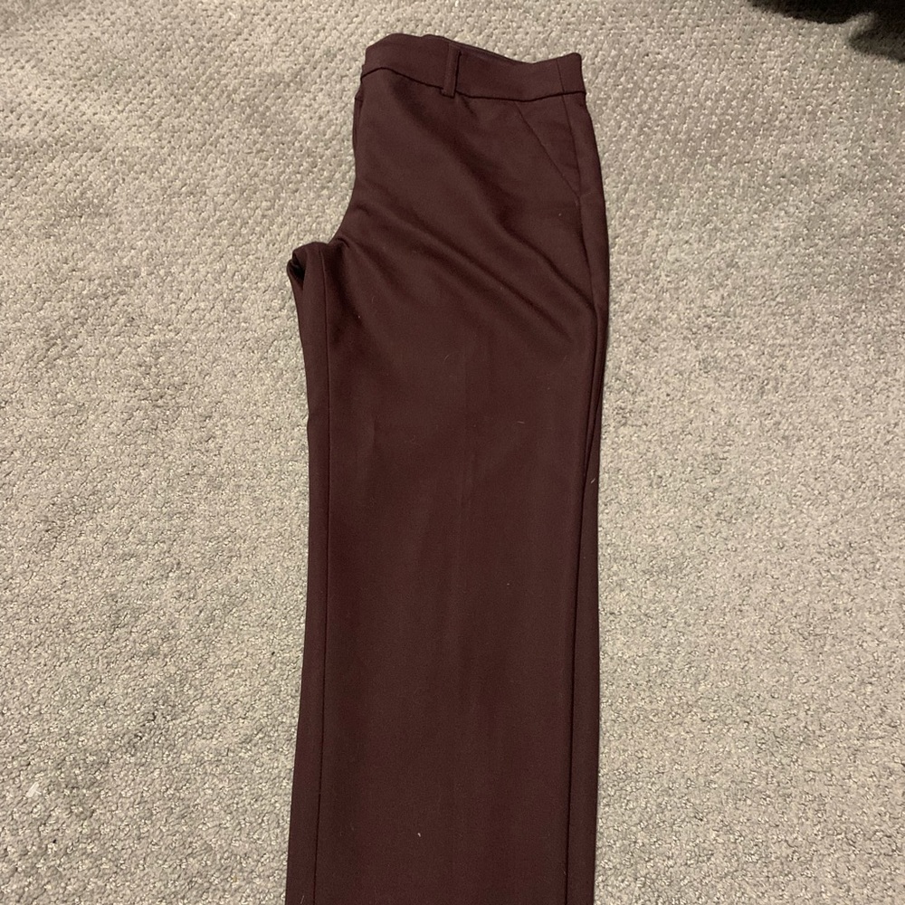 Express dress pants